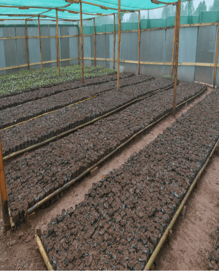 Community Water Project